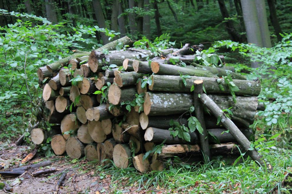 Спекула и измами при доставките на дърва – как лъжат за цената