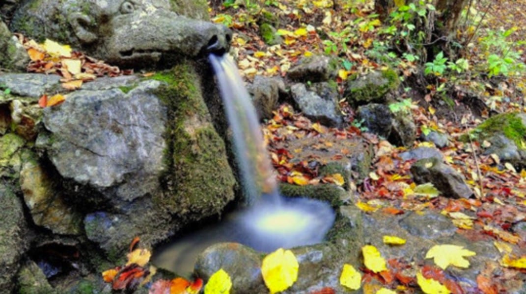 Чешмата на щастието се намира в България: Изворът, известен като Живата вода