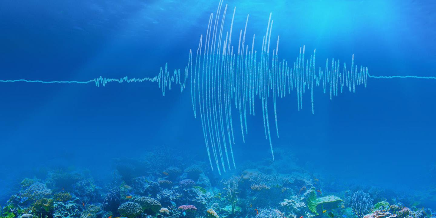 Моретата изригнаха: Мощно земетресението с магнитуд 6,9 под водата