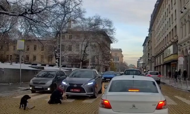 Дипломатическа кола е блъснала майка с бебе на пешеходна пътека
