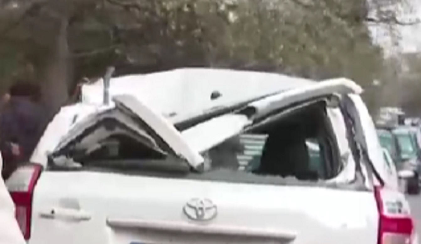 Две дървета рухнаха върху кола в София
