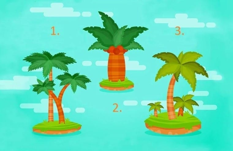 Тест: Изберете палмата, която най-много Ви харесва и разберете какво ви очаква това лято!