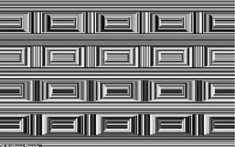 Ако можете да намерите 16 кръга в тази снимка за десет секунди, вашето IQ е 140+